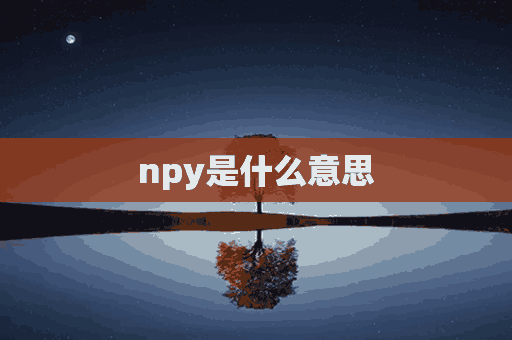 npy是什么意思(npy是什么意思的缩写)